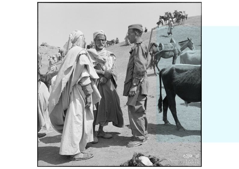 Les Harkis : qui sont-ils ? | Les Harkis